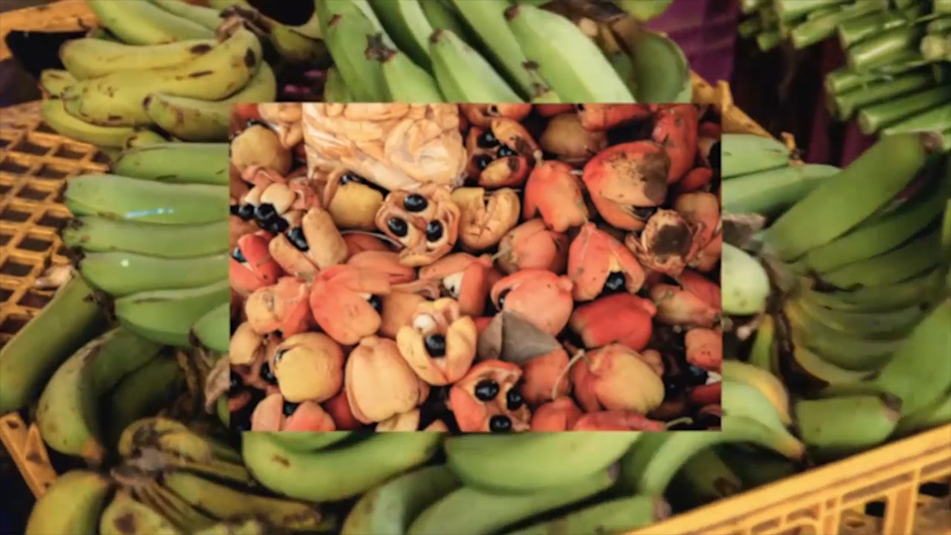 Music Nation - Ep. 76