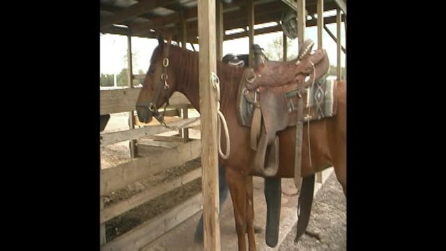 Girls Night Out - Ep. 39 - Miss Russi...