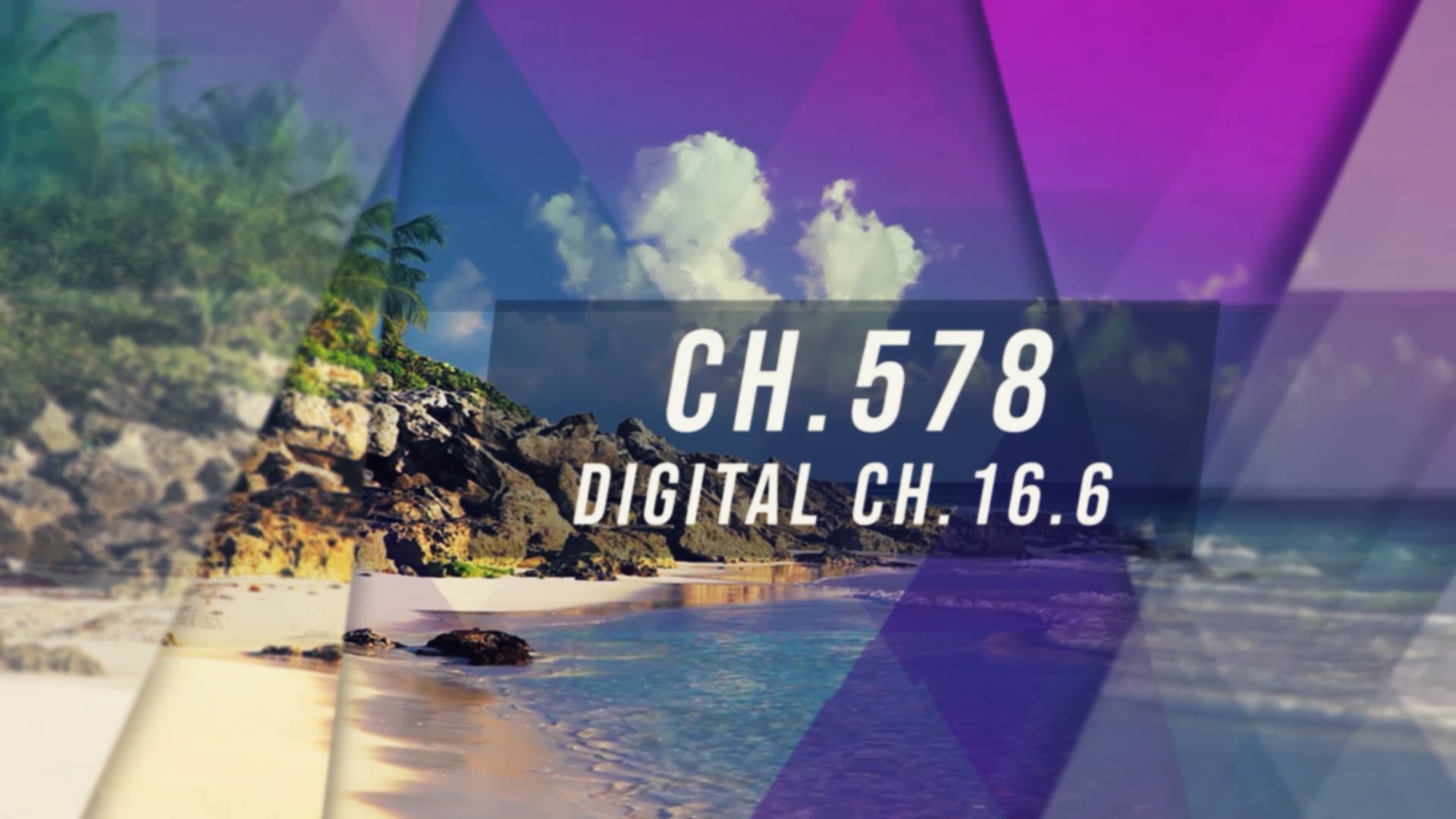 What's Up Caribbean -  08/27/2021