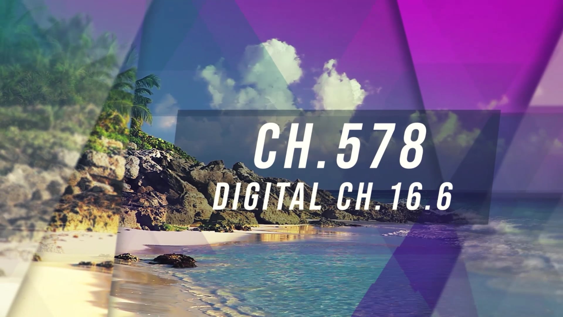 Island TV Special - Ep. 26