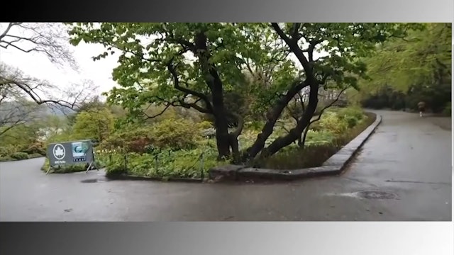 That's What I'm Saying! - Ep. 06