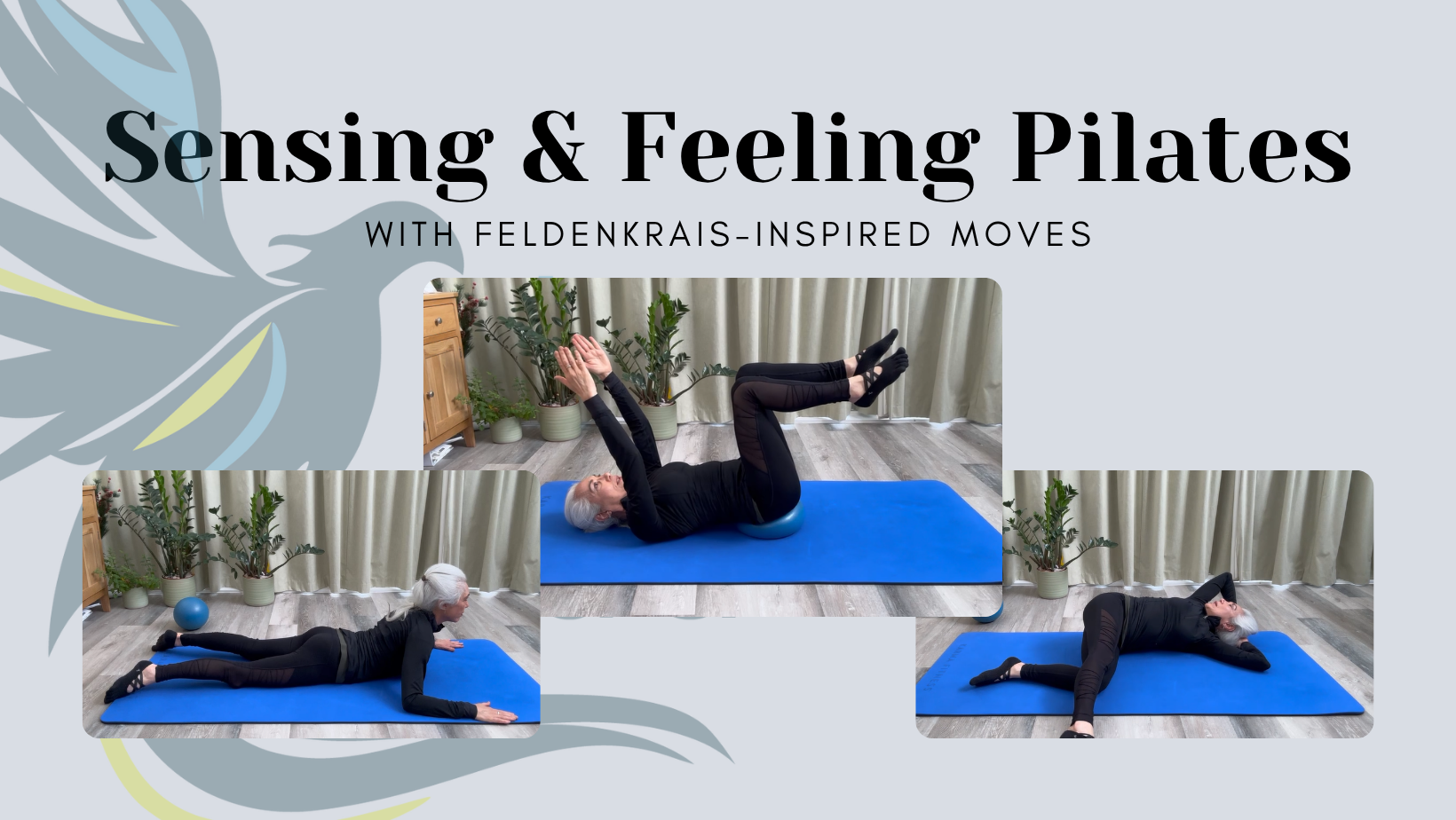 Sensing & Feeling Pilates
