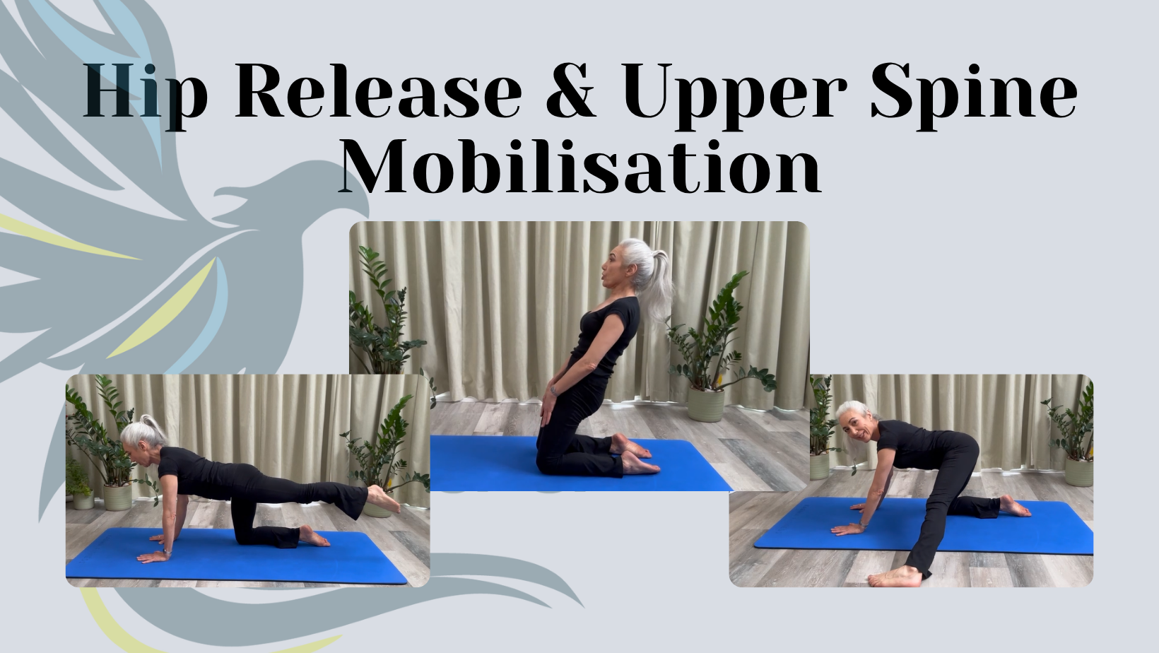 Hip Release & Upper Spine mobilisation