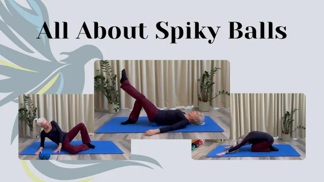 All About Spiky Balls