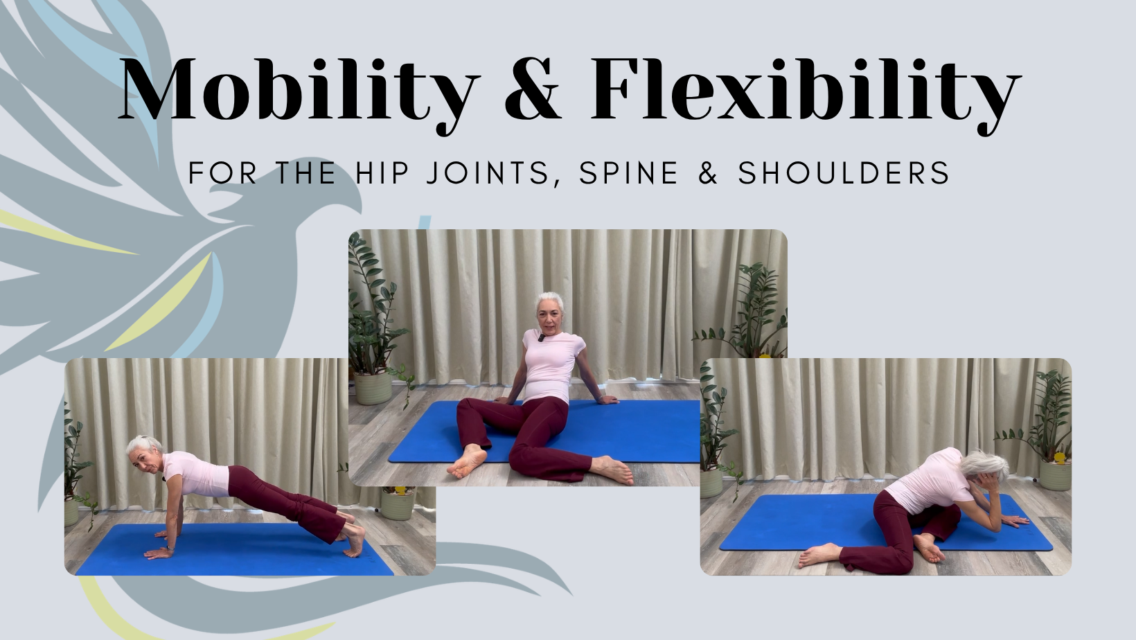 Mobility & Flexibiltiy session