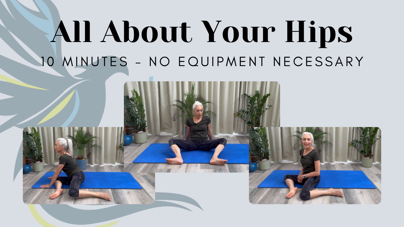 All About Your Hips