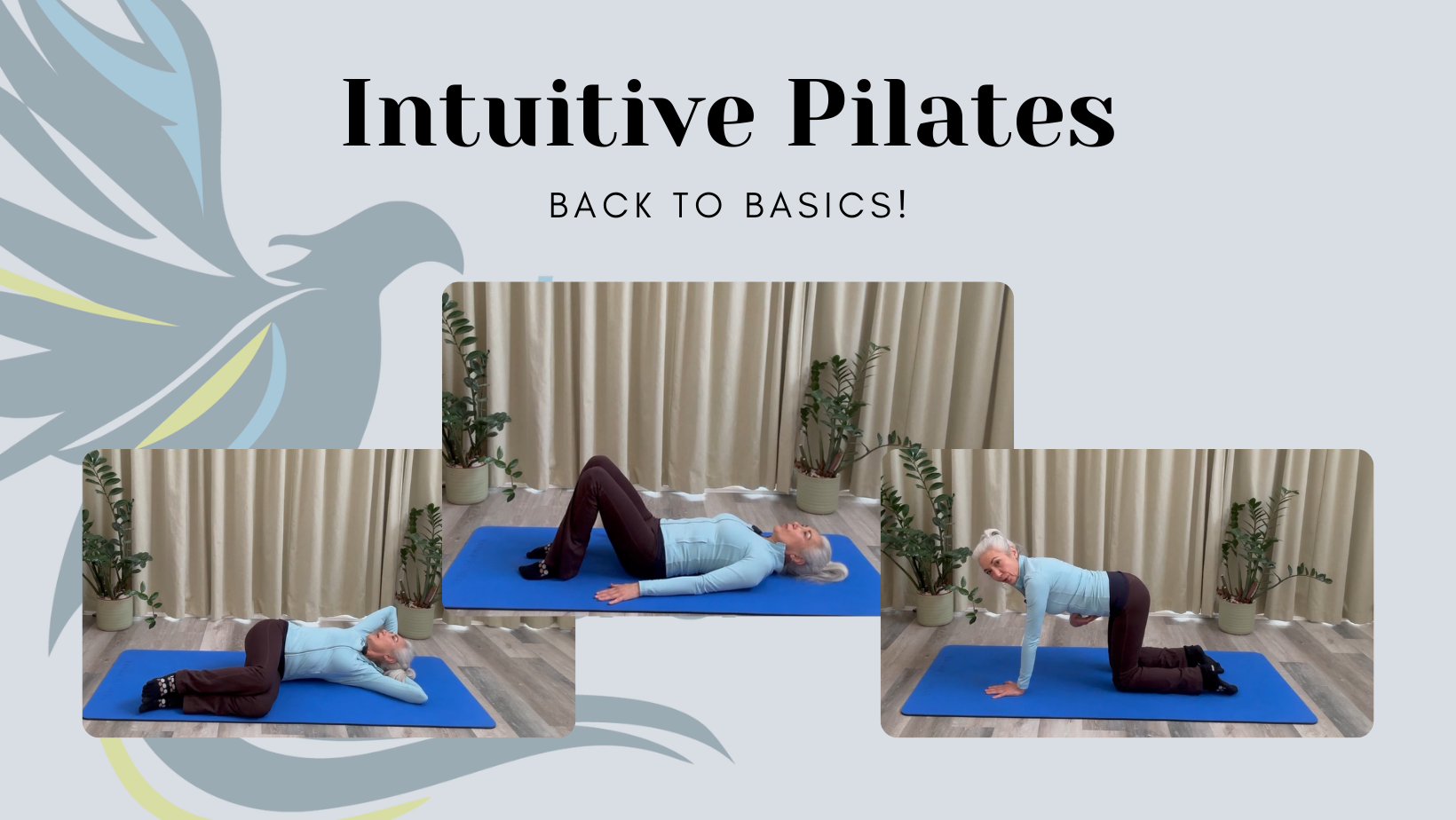 Intuitive Pilates - Back to Basics