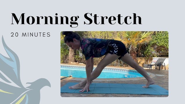 Morning Stretch with Evie