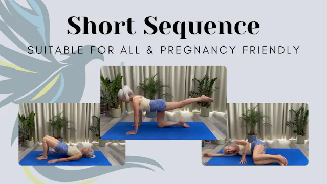 Short Sequence: Suitable for All & Pr...