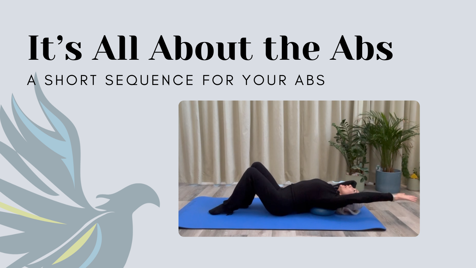 It's All About the Abs