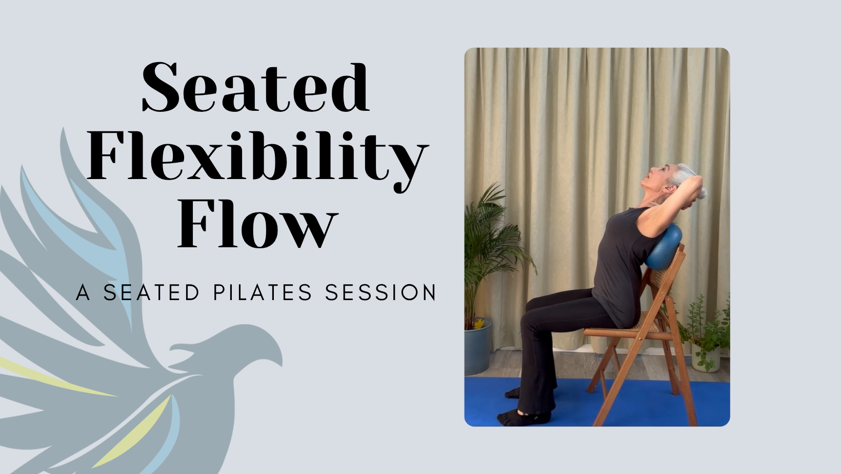 Seated Flexibility Flow