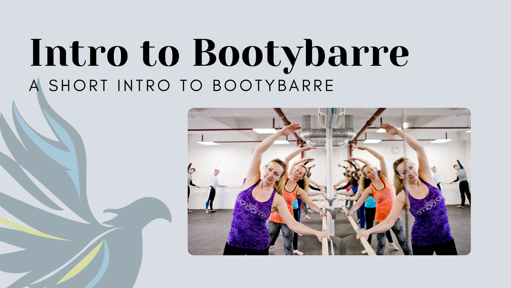Intro to Bootybarre