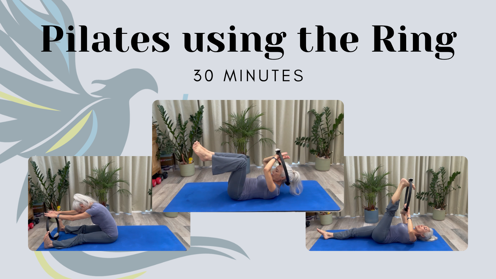 Pilates using the ring