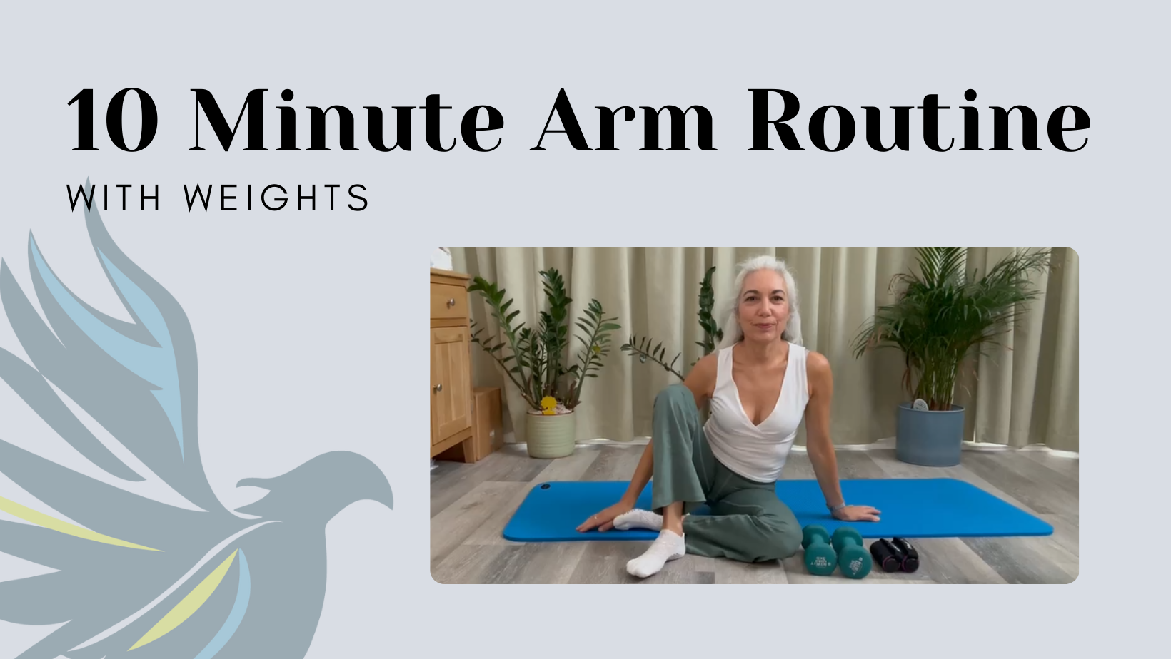 10 Minute Arm Routine with Weights