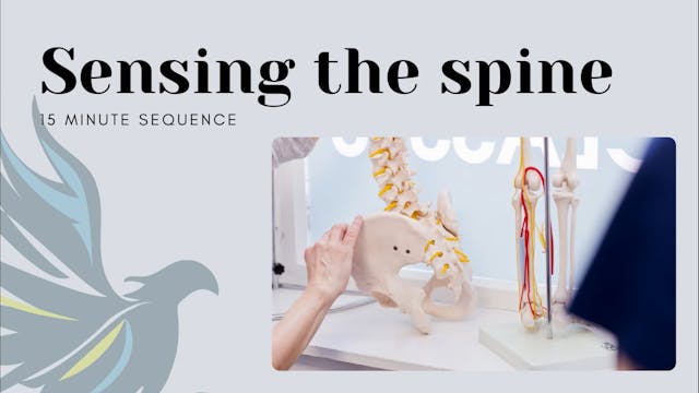 15 Minute ATM® - Sensing the Spine