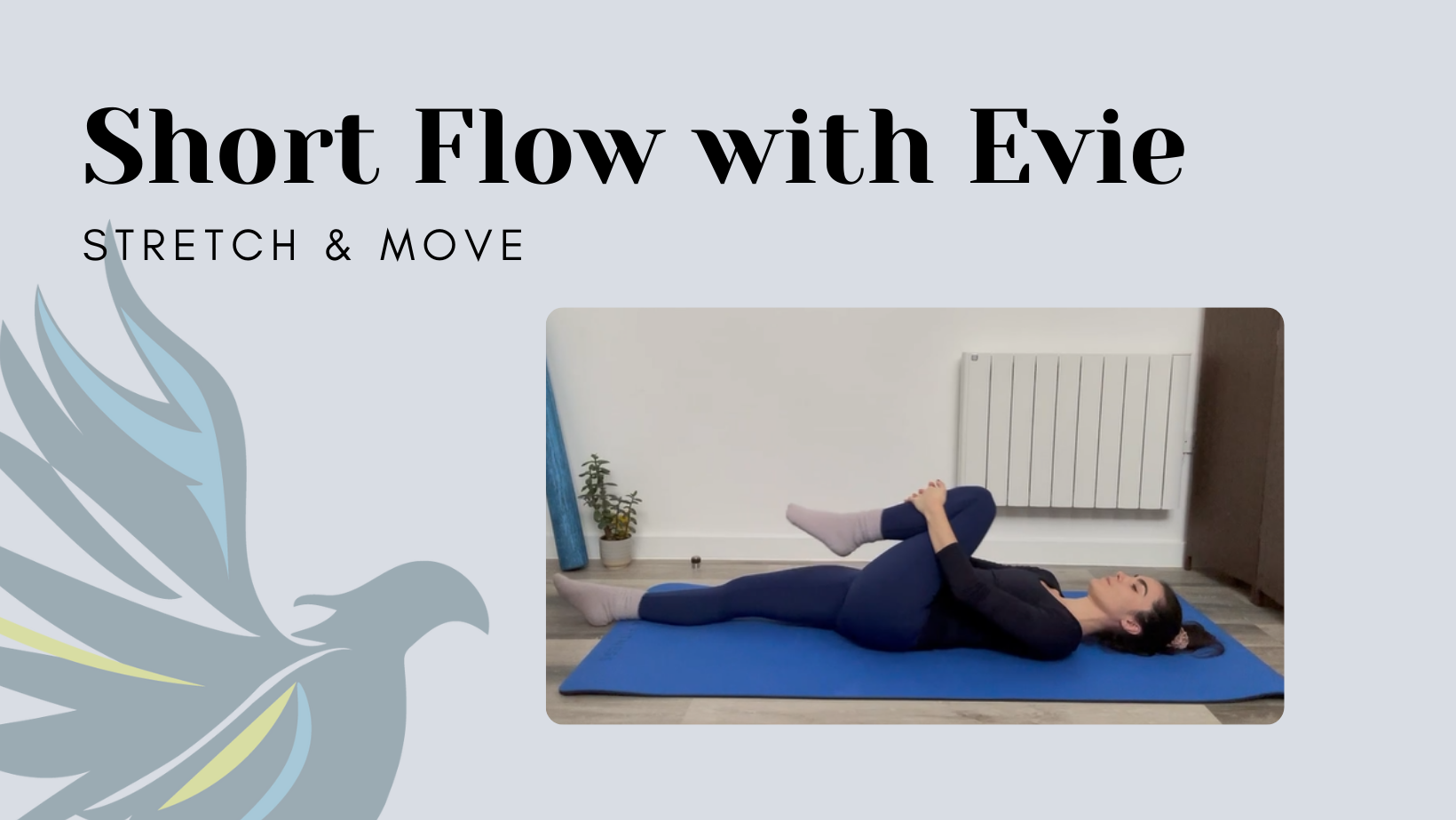 Short Flow with Evie