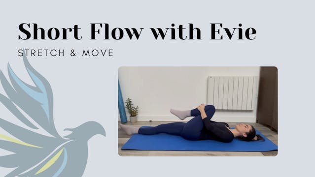 Short Flow with Evie