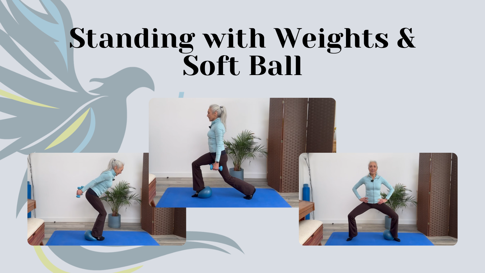 Standing session with Weights & Soft Ball
