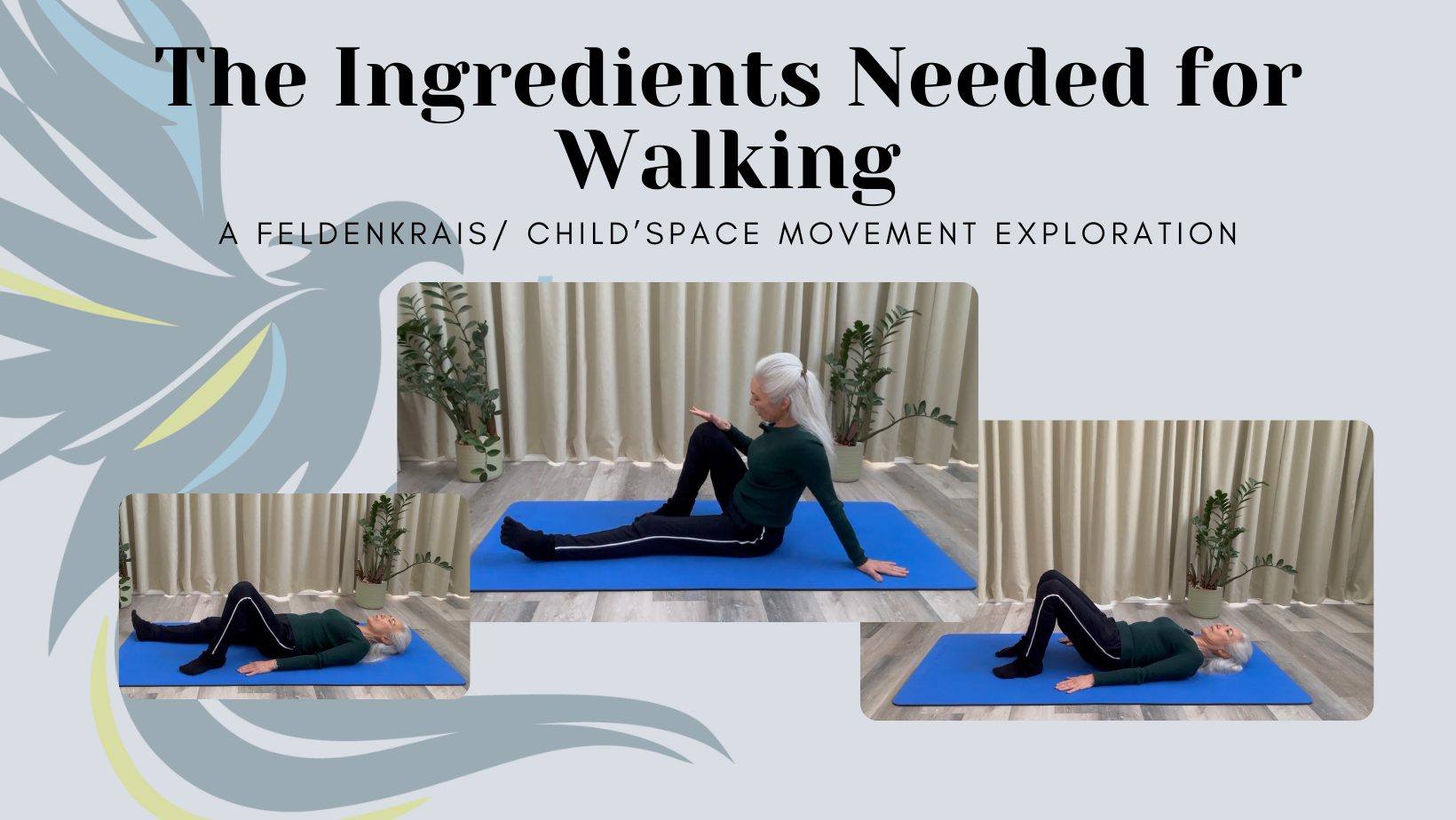 The Ingredients Needed for Walking