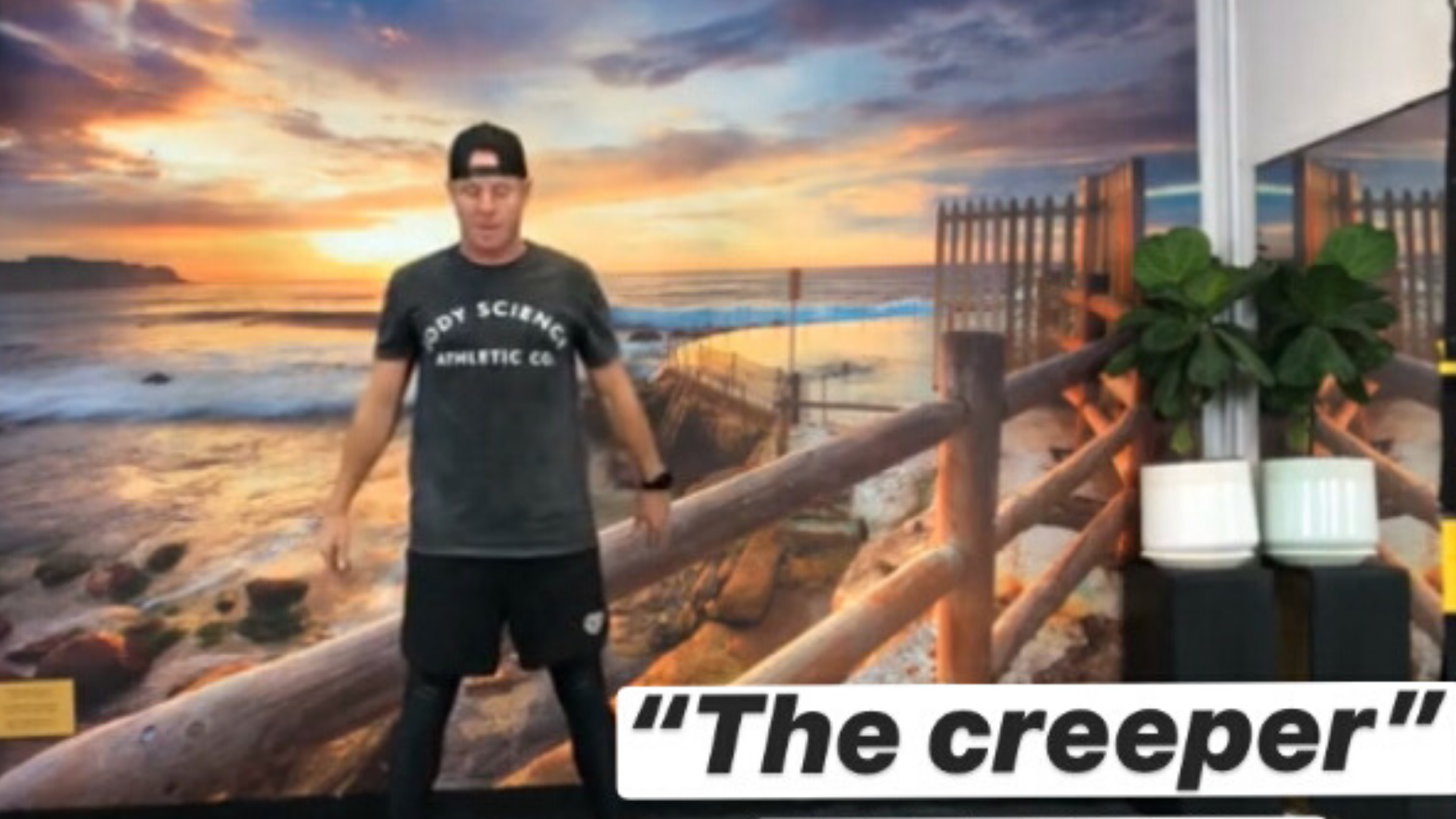 HIIT- WHIPPET- THE CREEPER- 