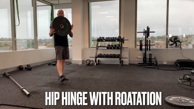 Hip Hinge with rotation
