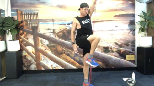 HIIT- WHIPPET-