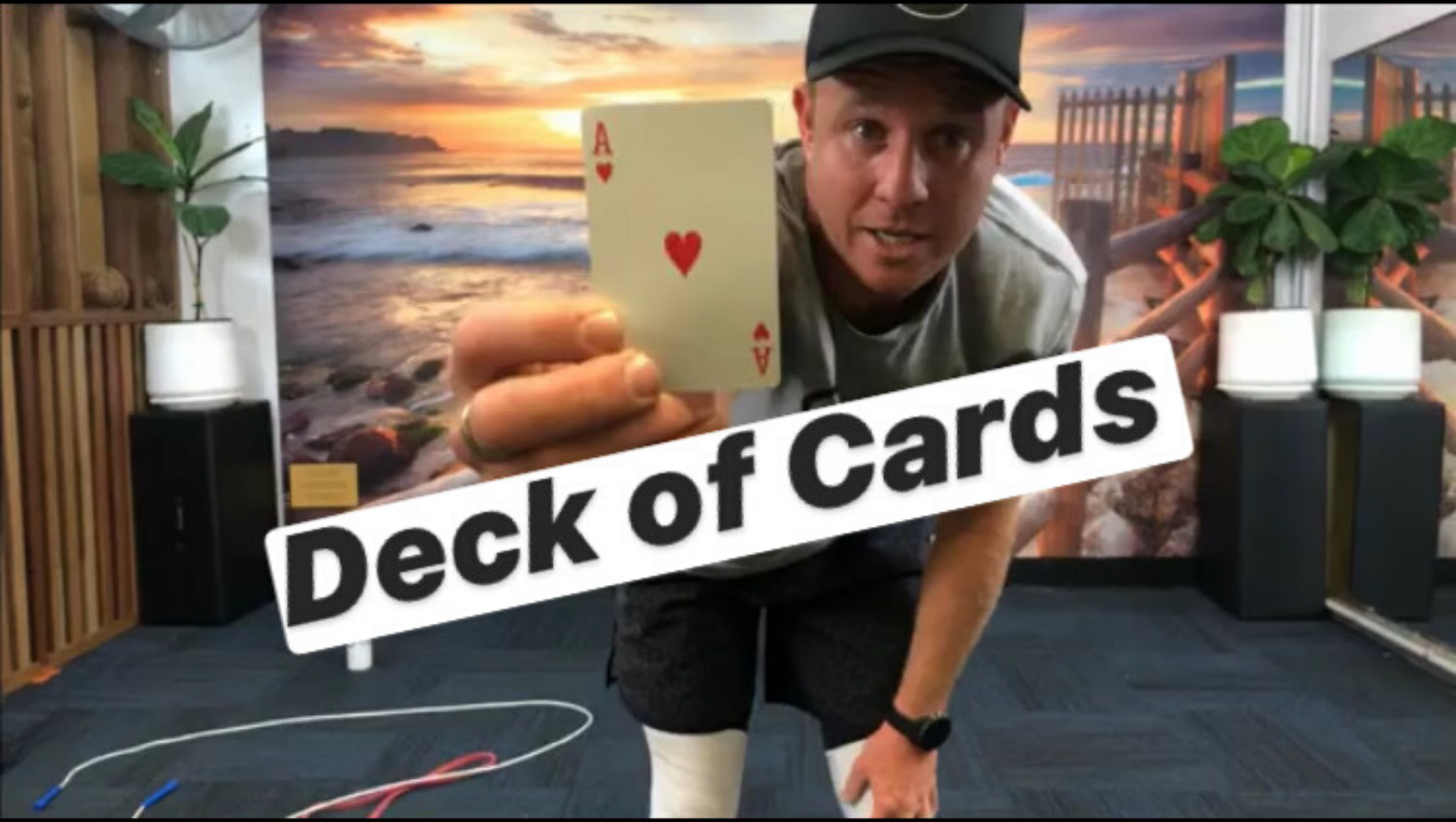 HIIT- WHIPPET- DECK OF CARDS- 