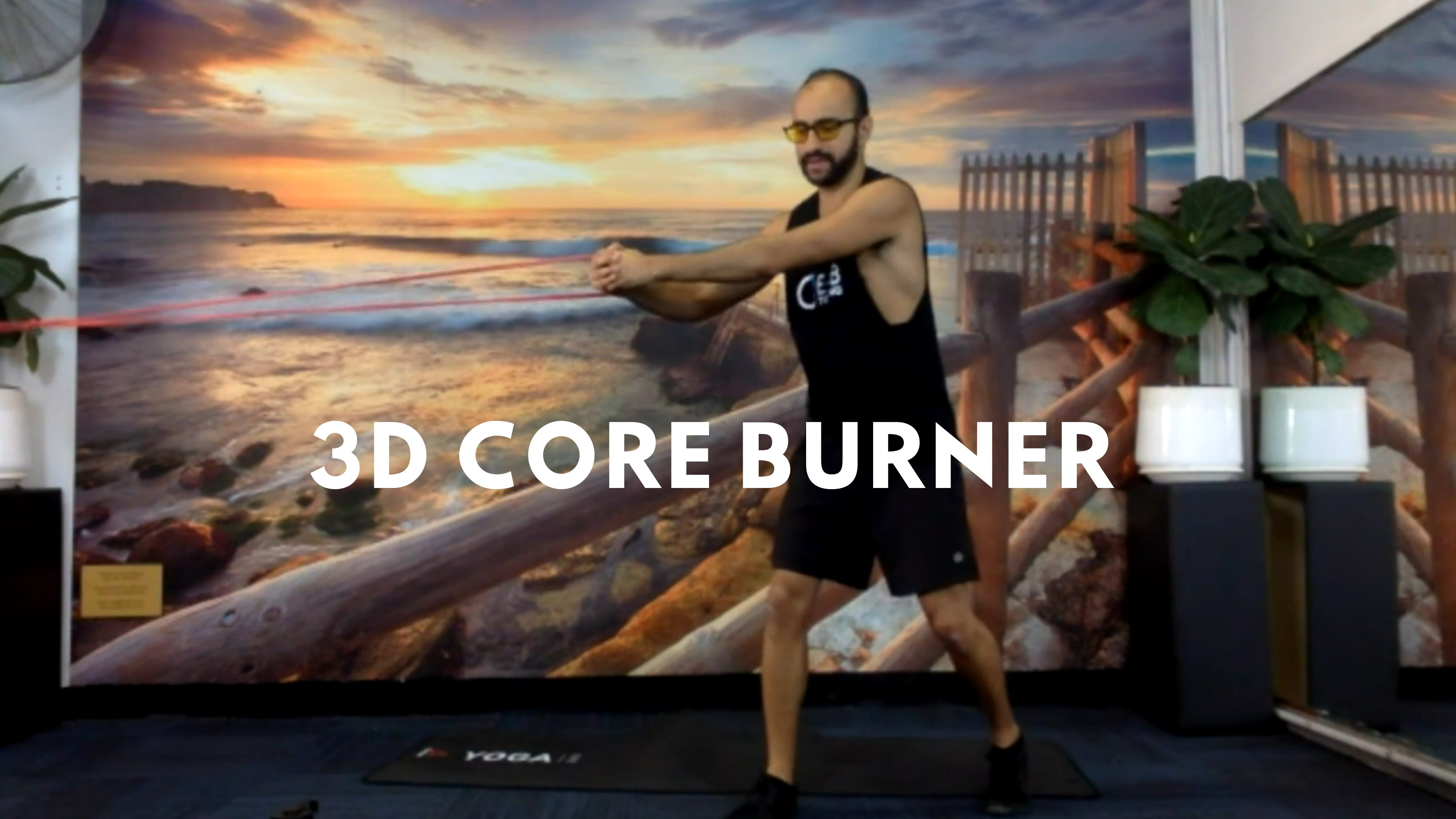 Functional Strength w/ Mark Labib