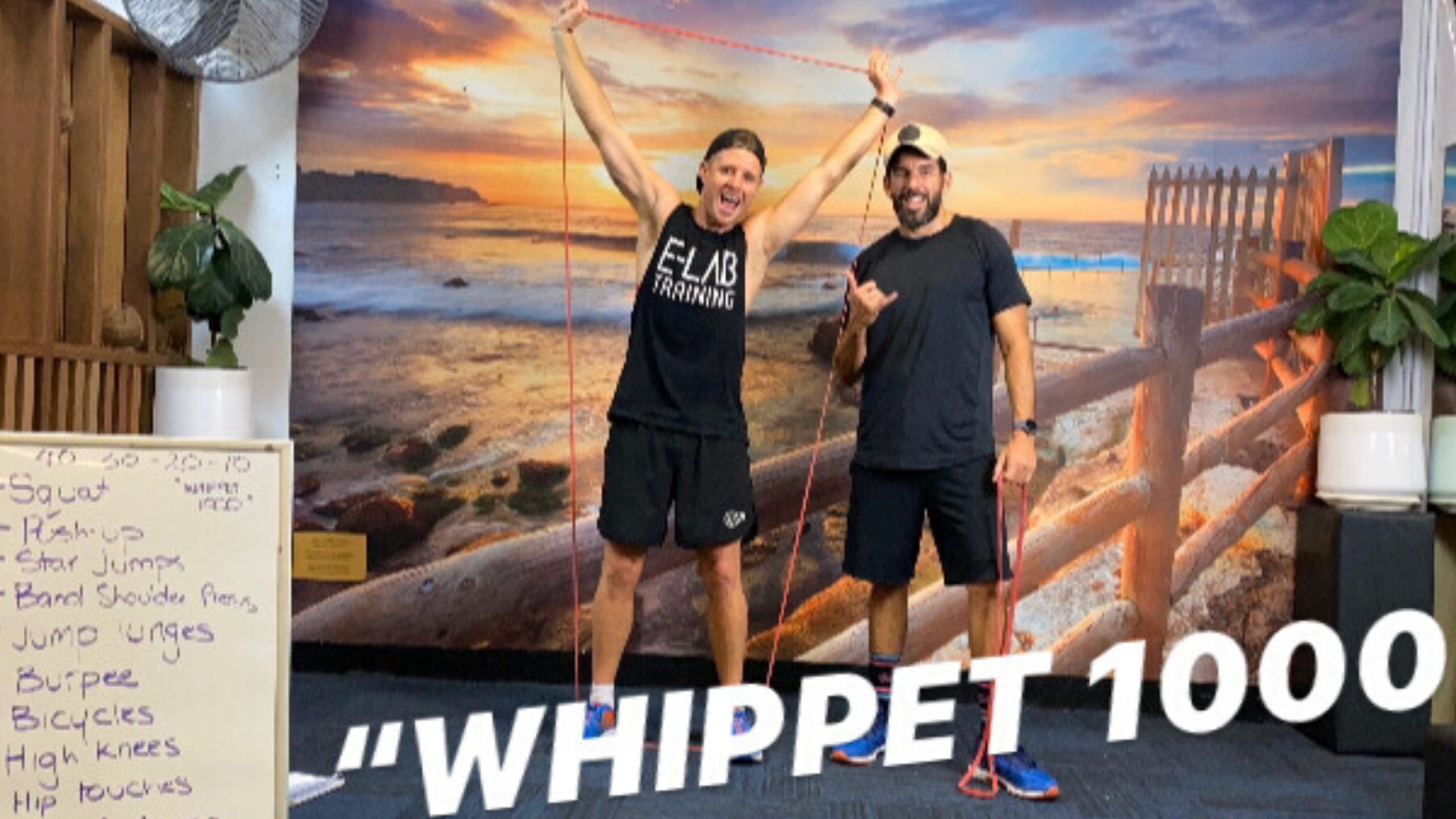 HIIT- WHIPPET 1000- 