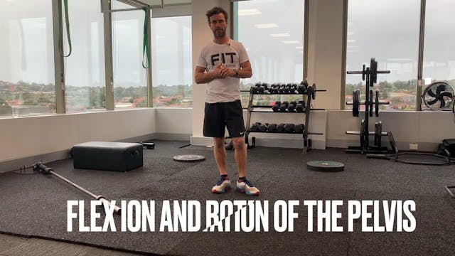 Don't hurt your back squatting! know ...