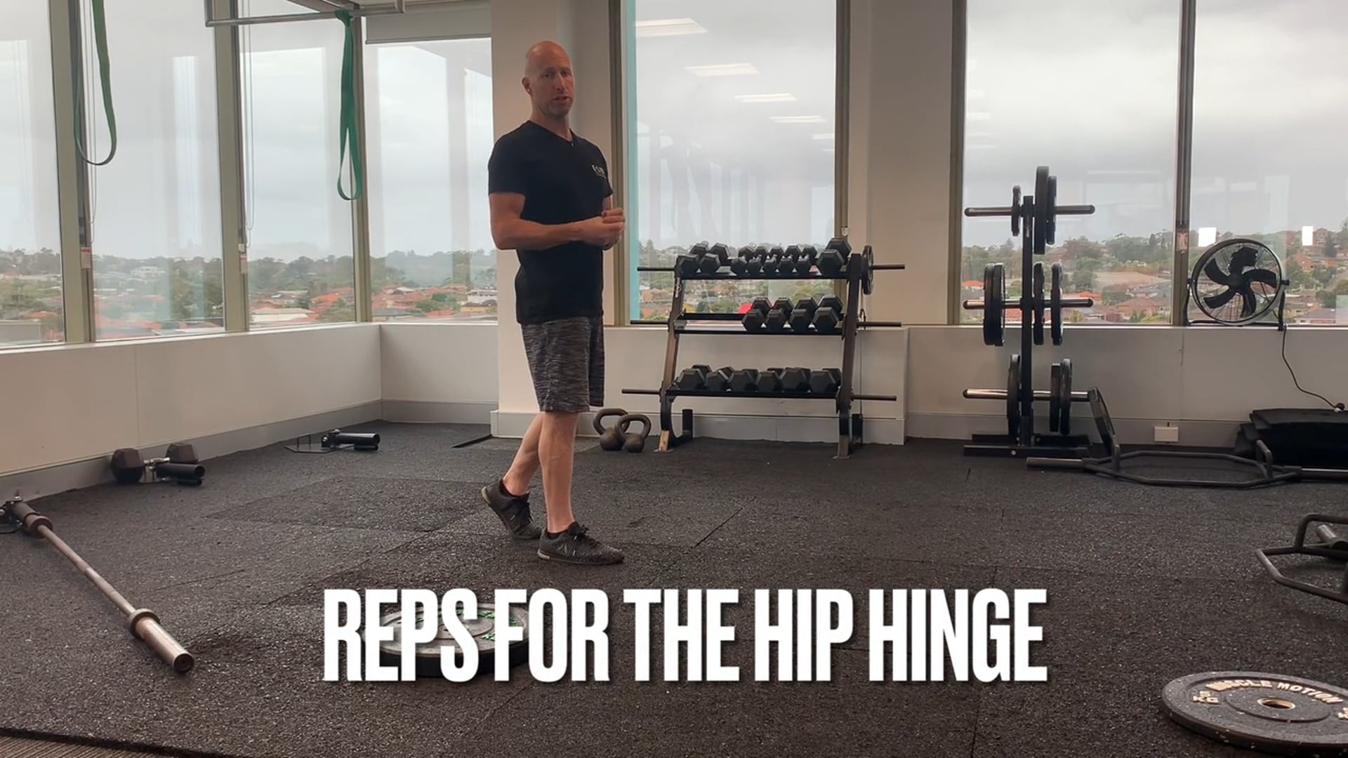 Repos for hip hinge