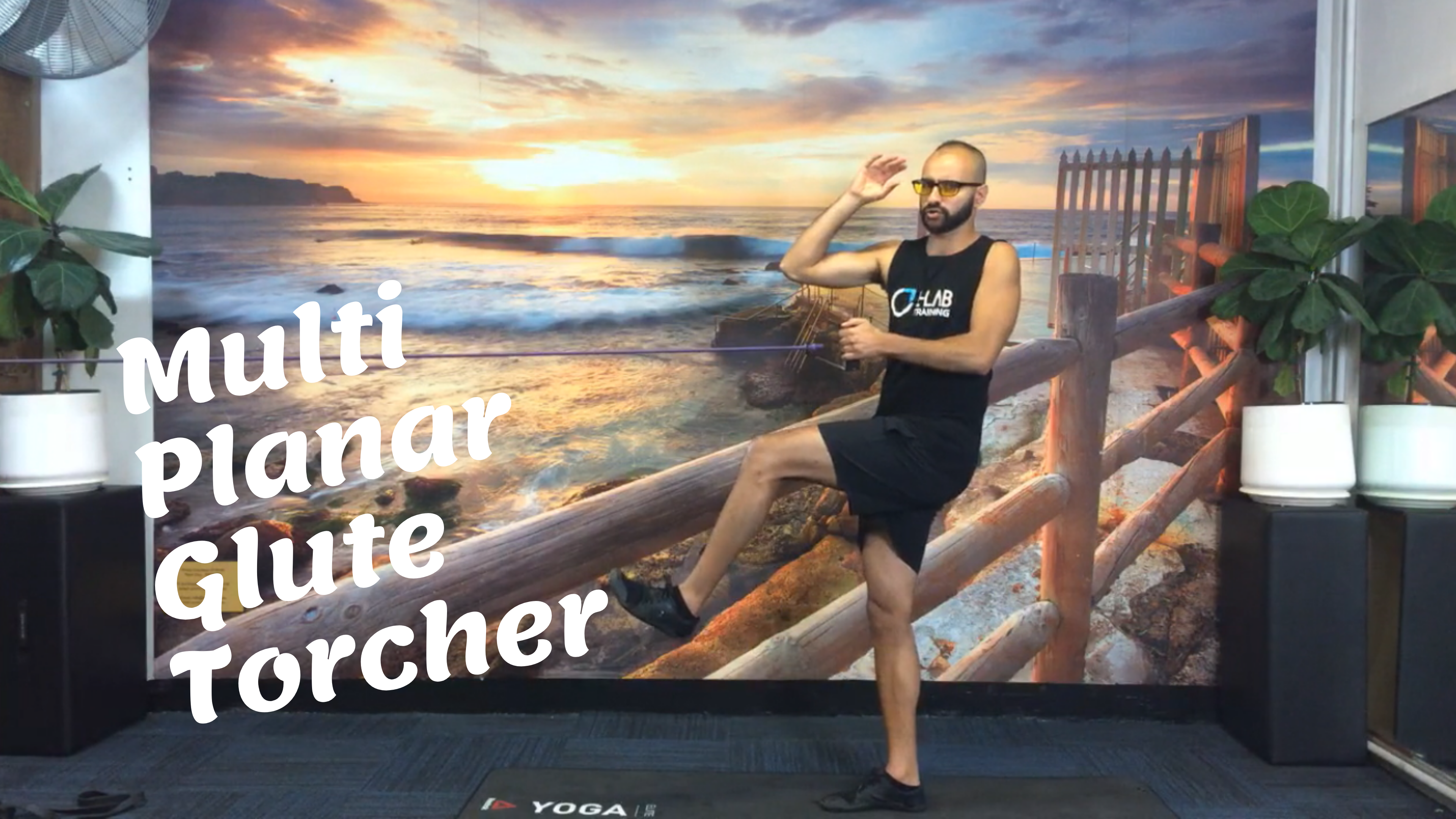 Functional Strength w/ Mark Labib 