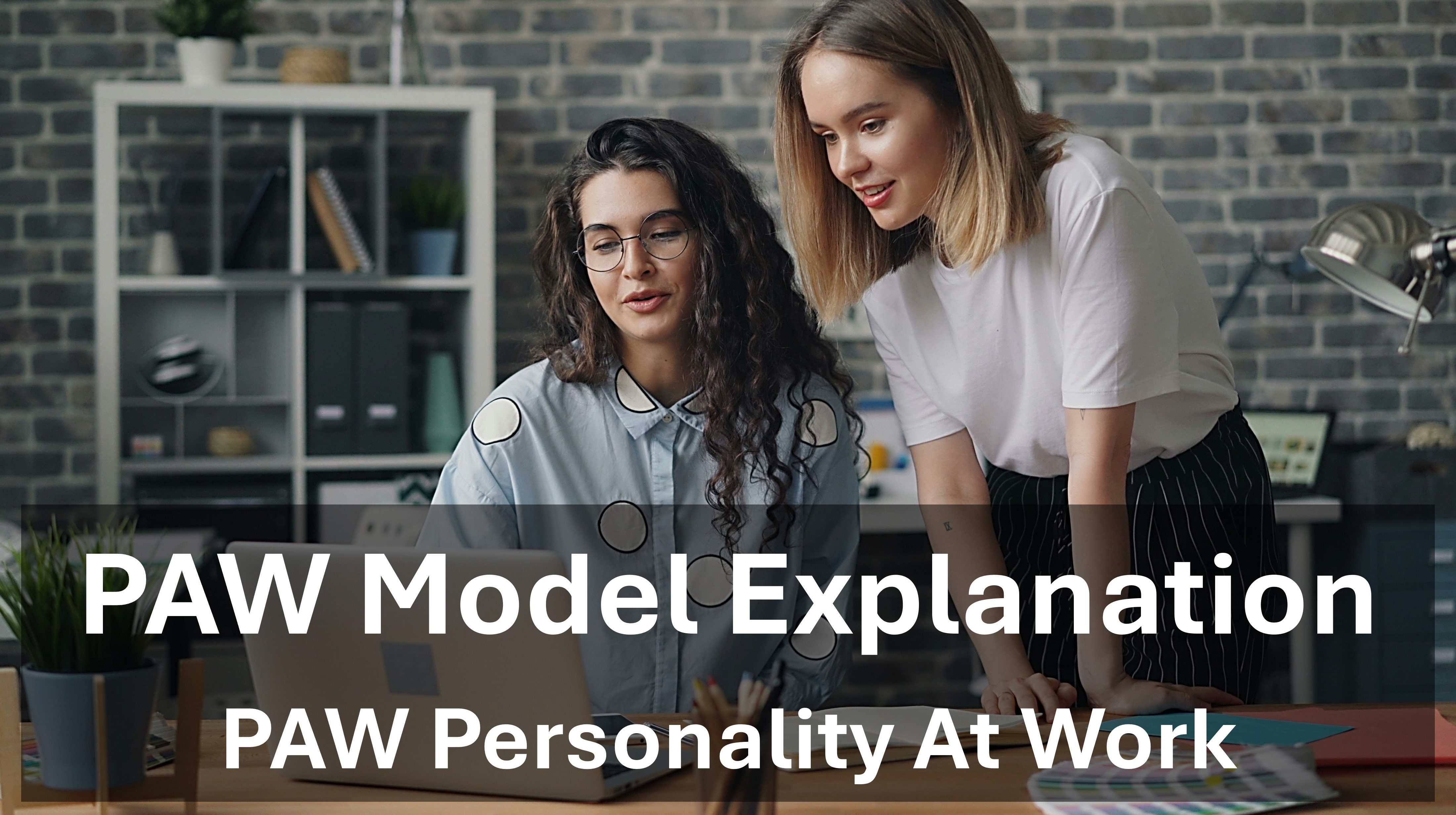 ITD Work Styles Model - Explanation