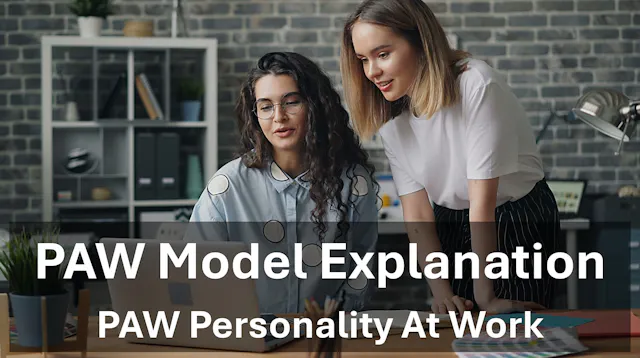 ITD Work Styles Model - Explanation