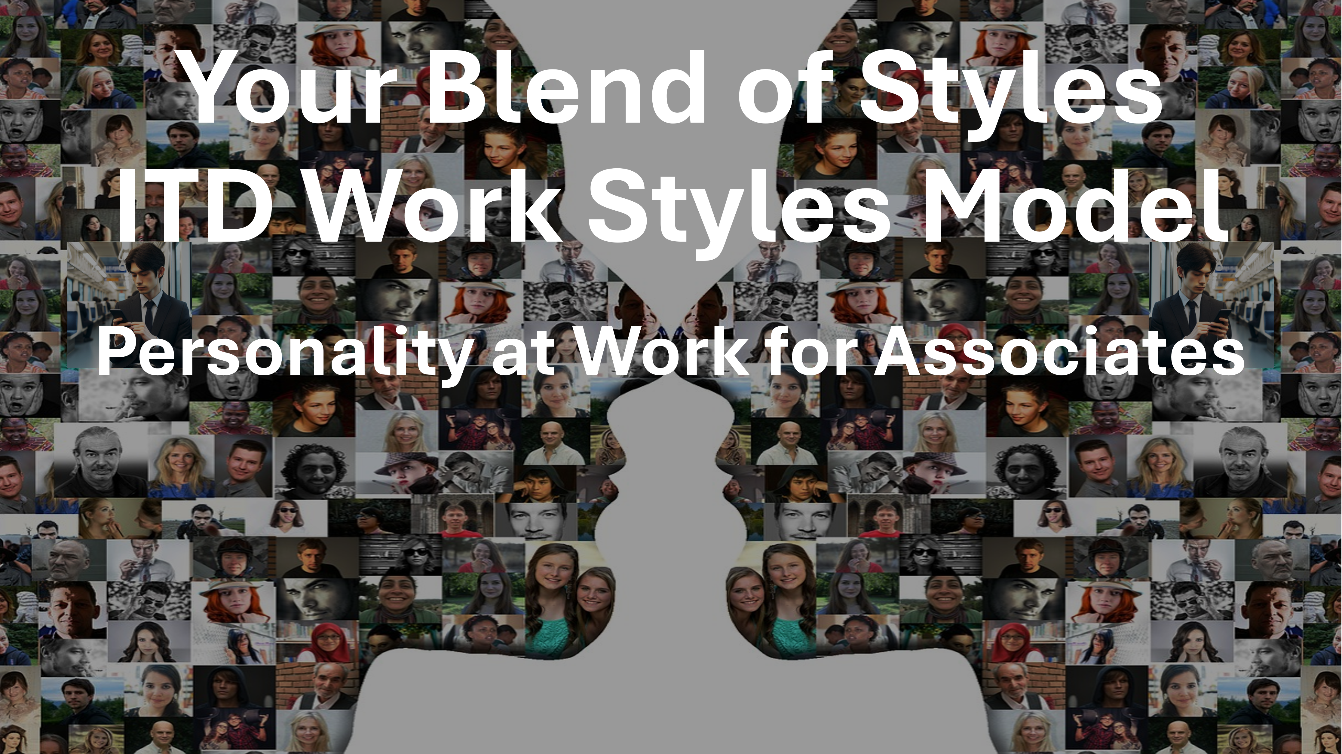 ITD Work Styles Model - Your Blend of Styles