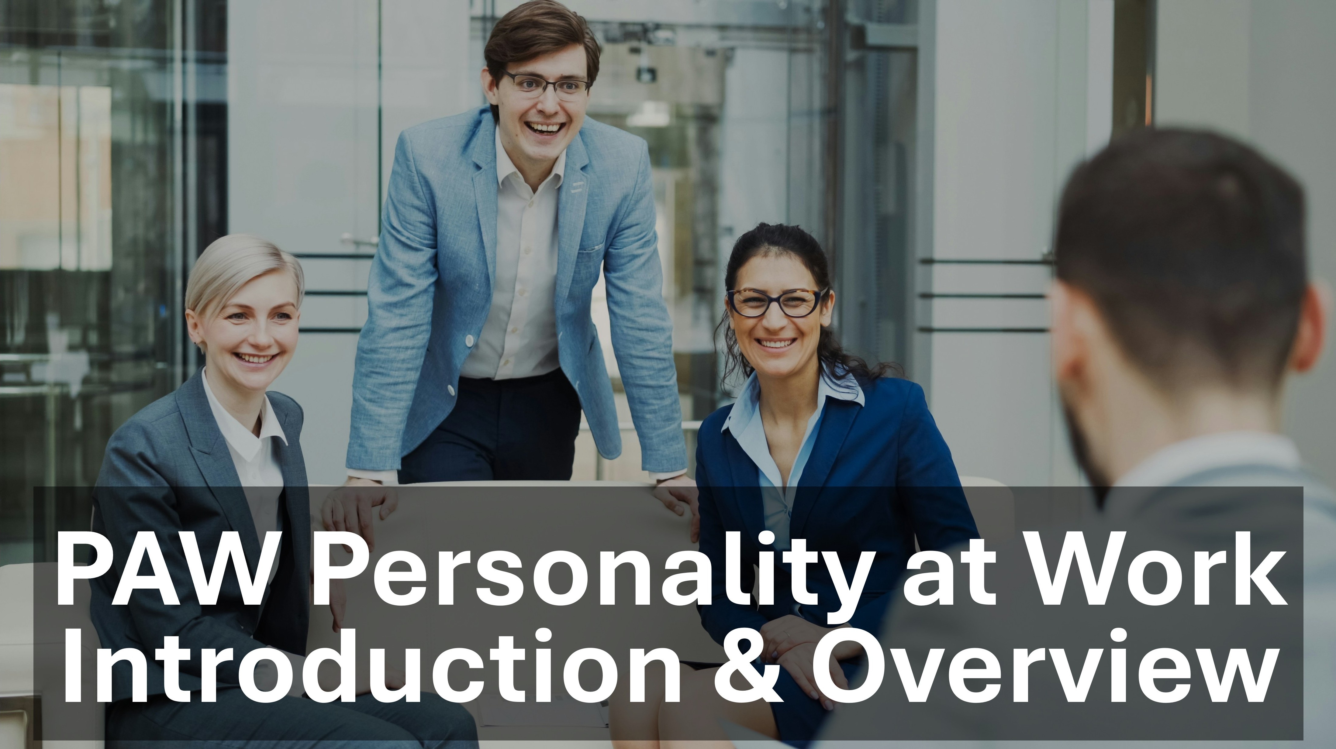 ITD Work Styles Model - Introduction & Overview