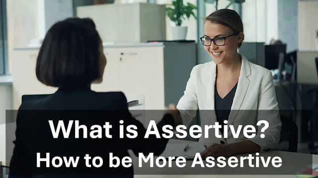 What is Assertive?