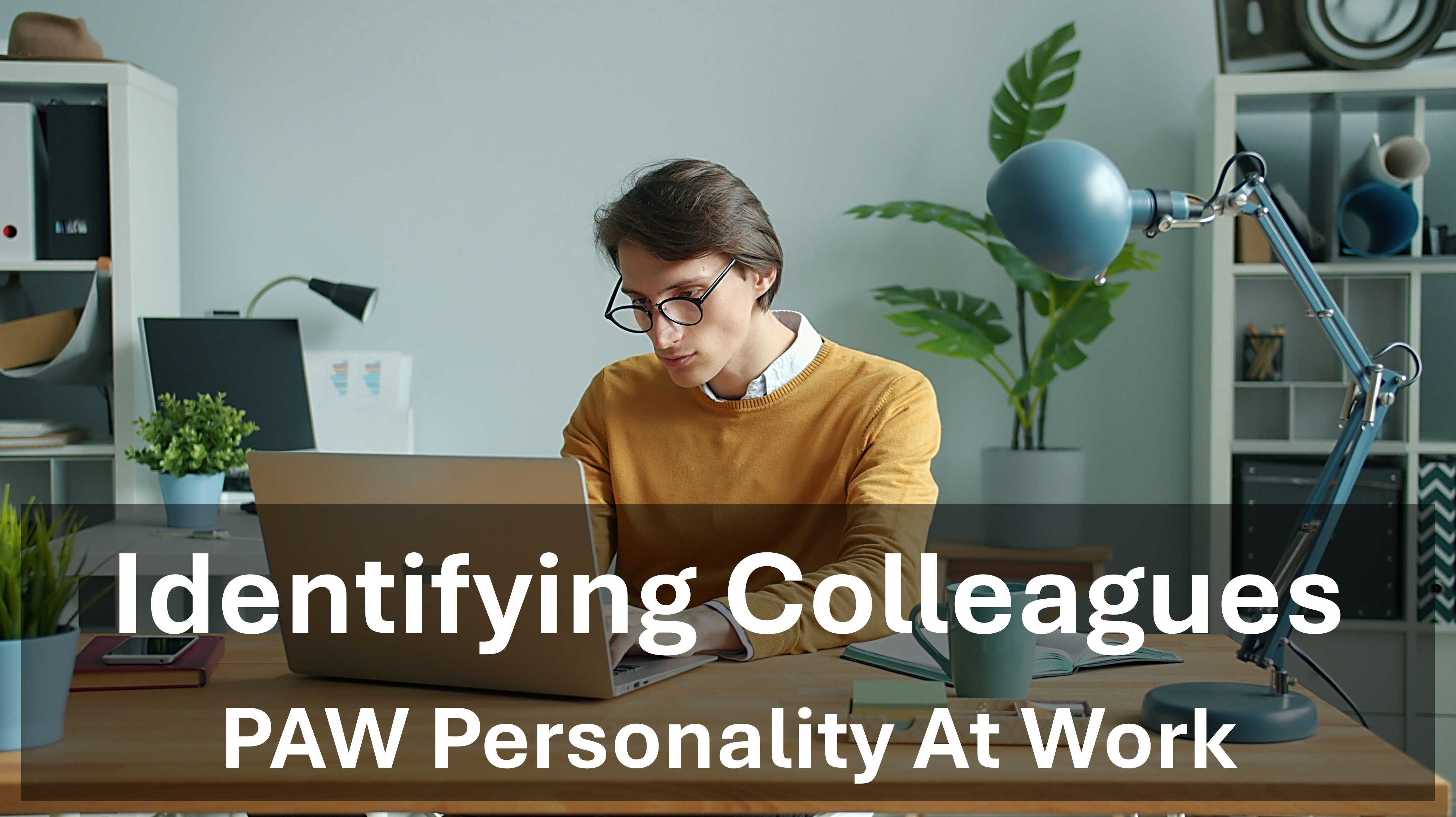 ITD Work Styles Model - Identifying Colleagues & Clients