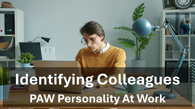 ITD Work Styles Model - Identifying C...