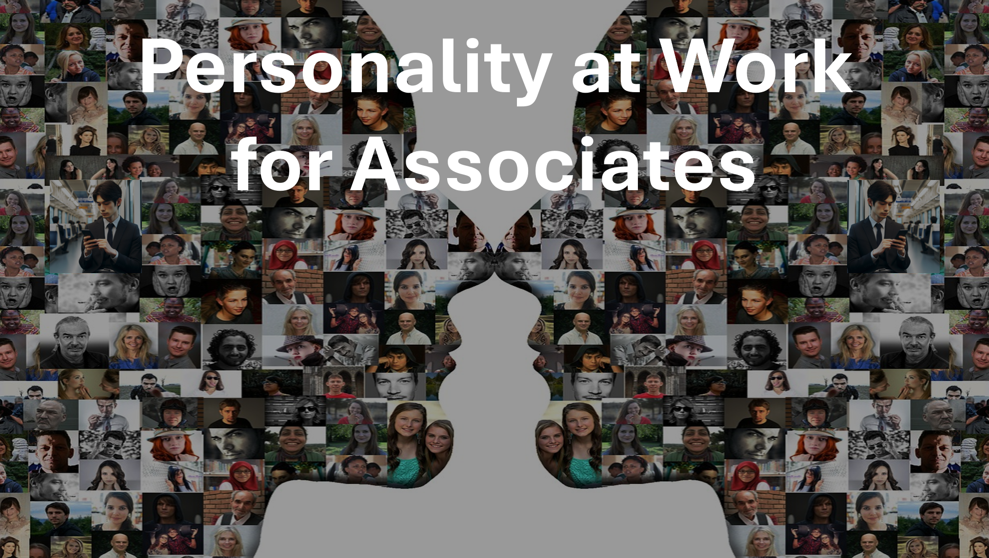 Personality at Work for Associates £199
