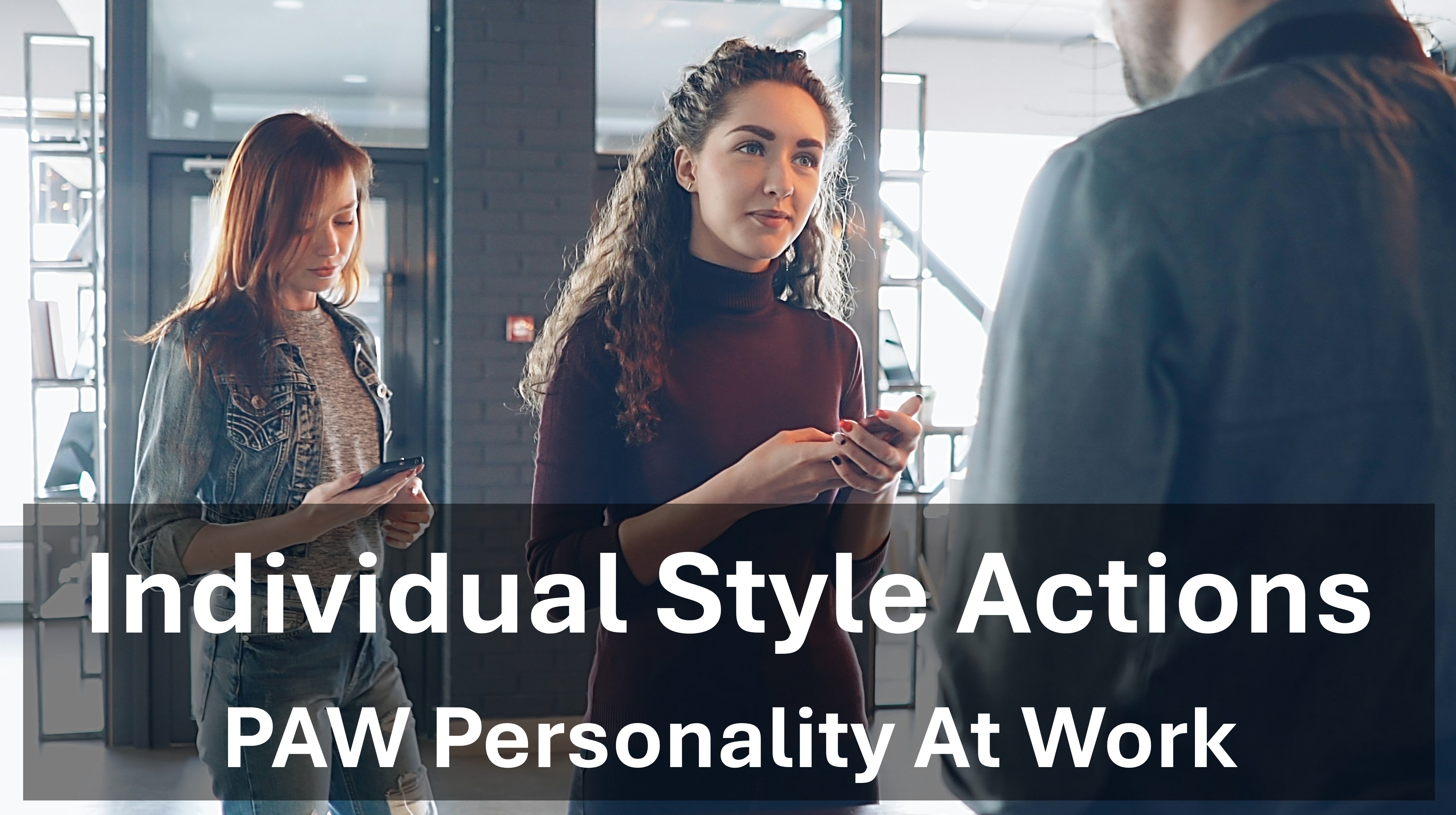 ITD Work Styles Model - Actions by Style
