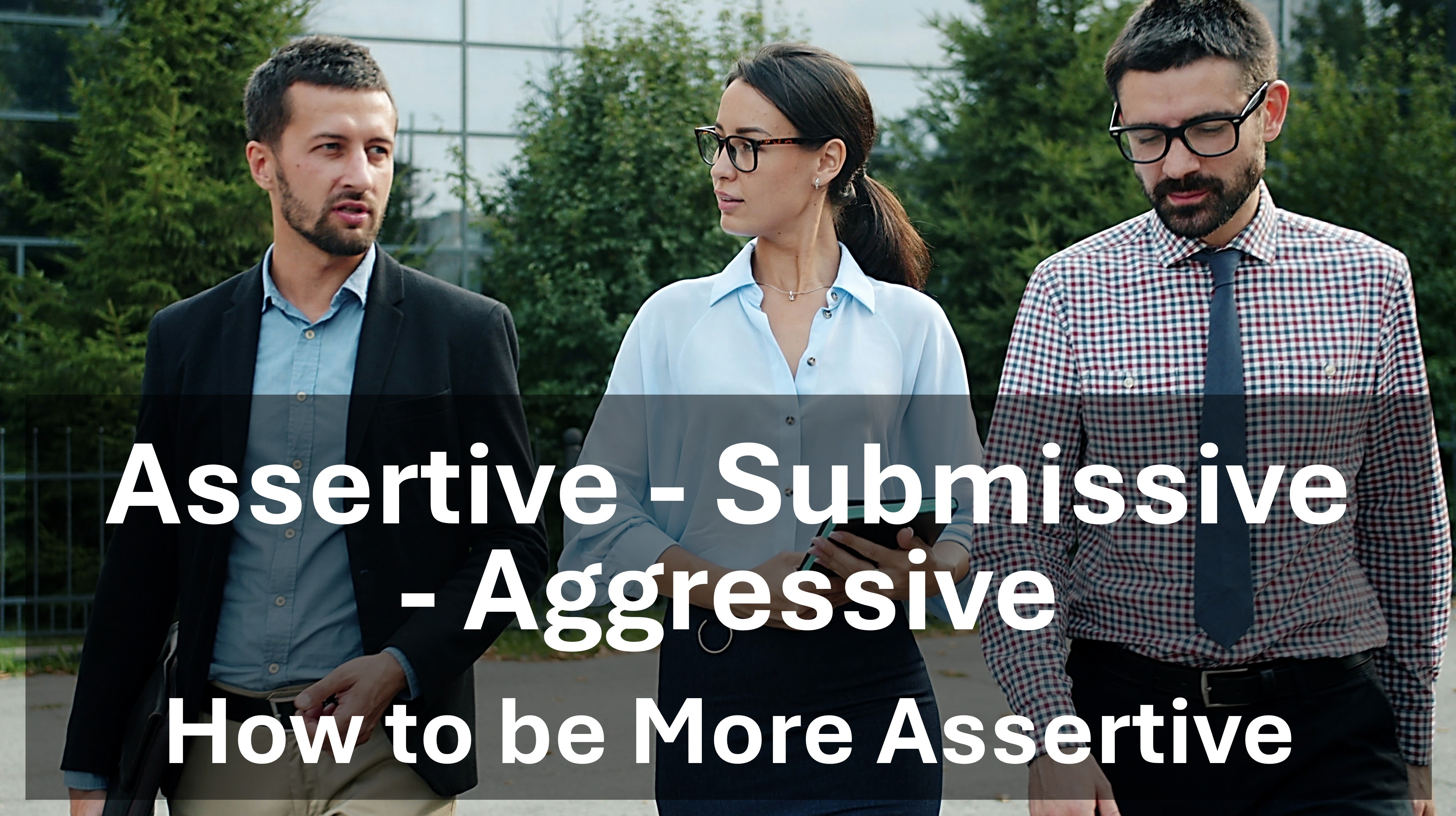 Assertive - Submissive - Aggressive