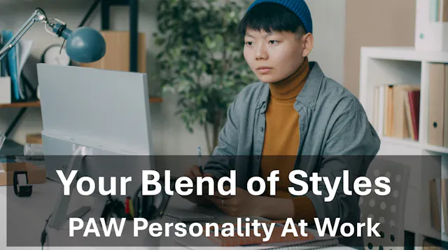 ITD Work Styles Model - Your Blend of...