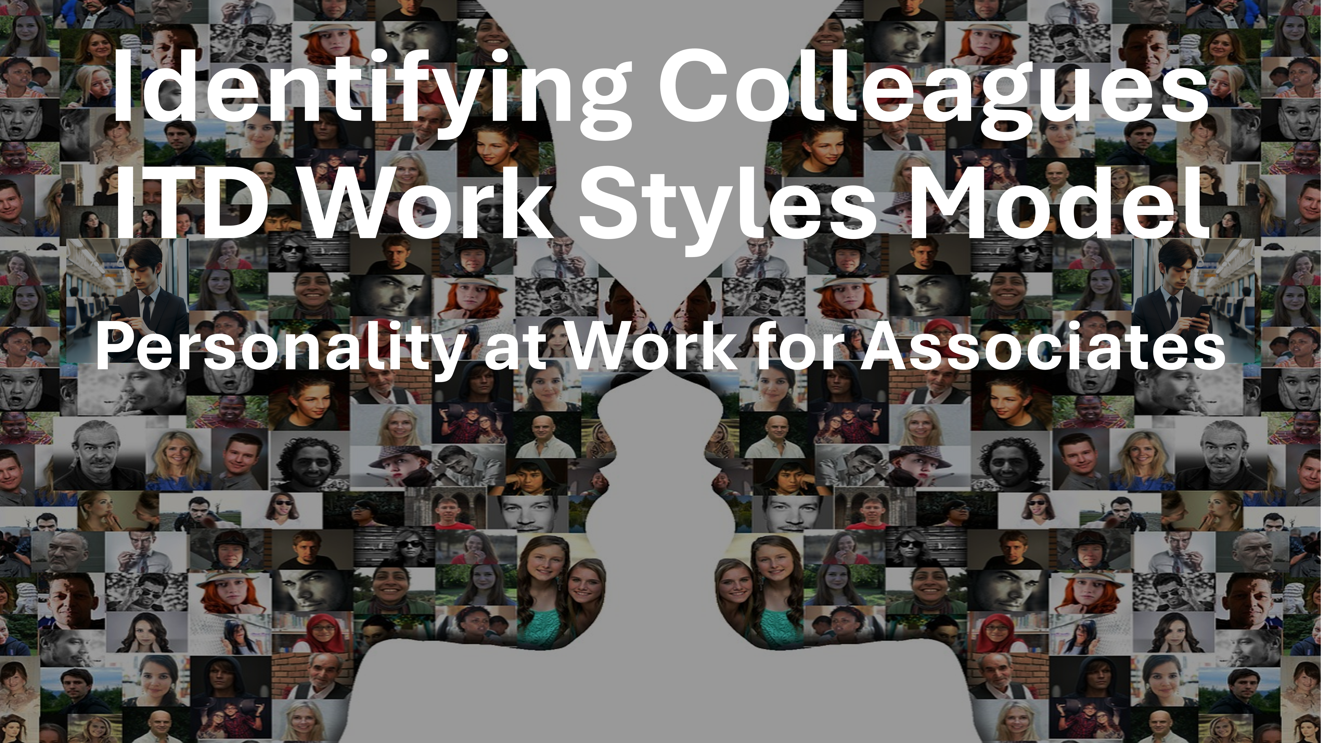 ITD Work Styles Model - Identifying Colleagues & Clients
