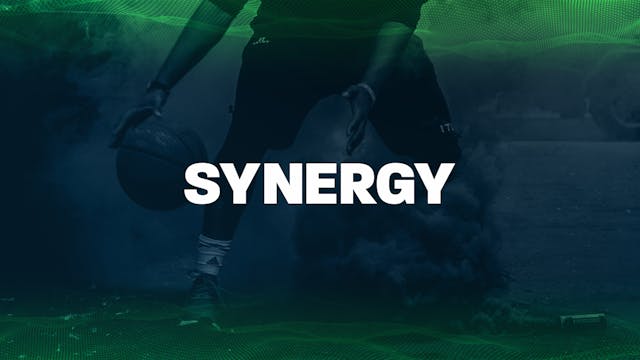 Synergy Introduction