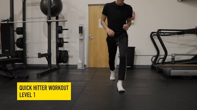 Quick Hitter Workout Level 1