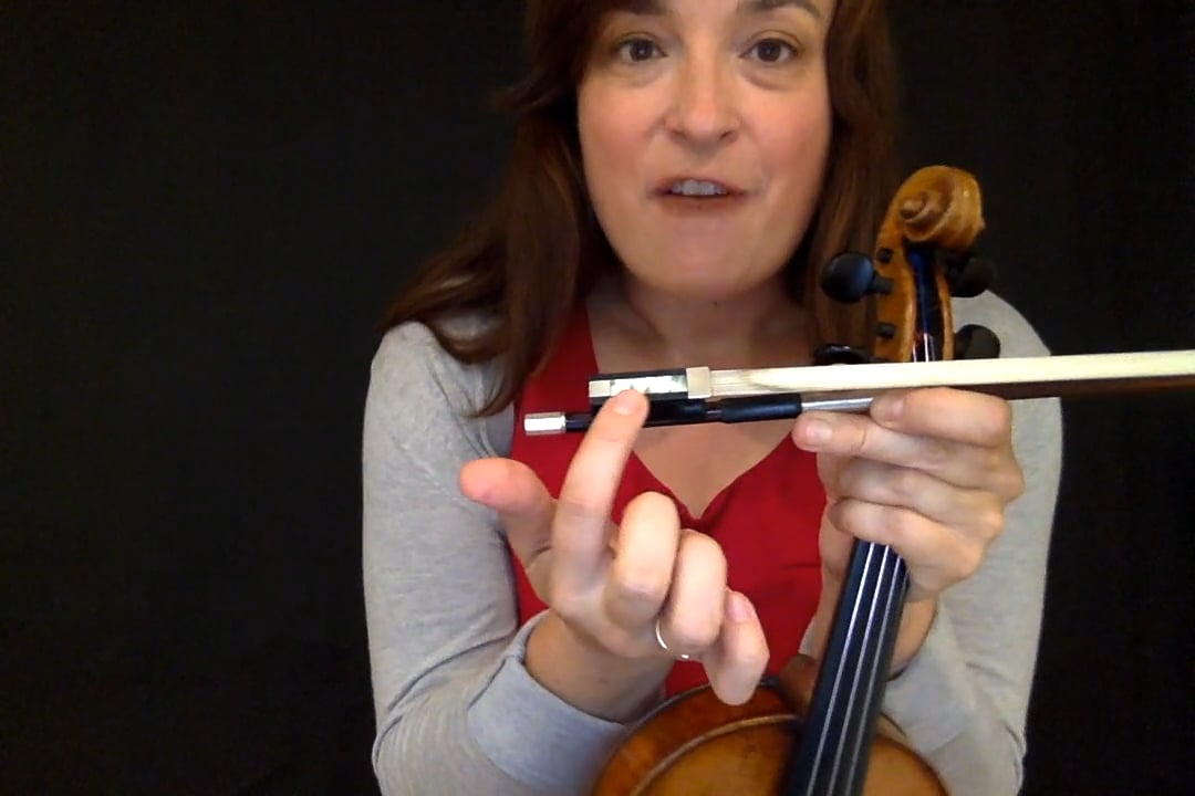 First Steps: Parts of the violin