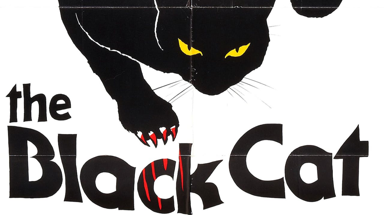 the-black-cat-1981-ivox-watch-independent-films-classic-movies