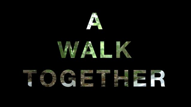 A Walk Together