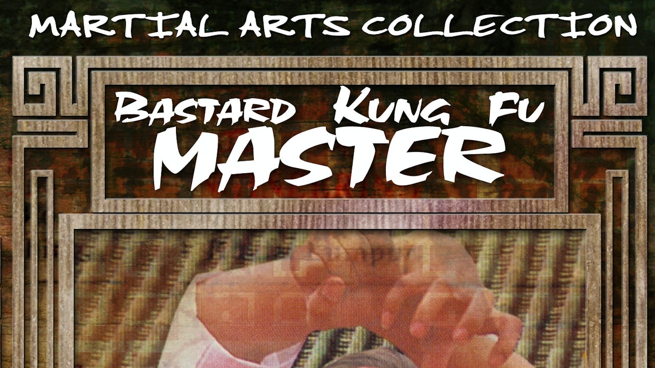 Bastard Kung Fu Master: The Ring of Death